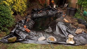 Pond lined pond May 2019 10