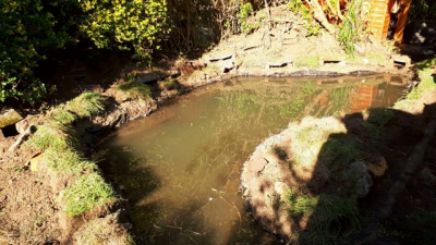 Pond lined pond May 2019 20