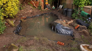 Pond lined pond May 2019 13