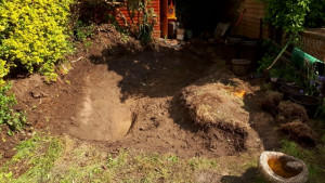 Pond lined pond May 2019 3 v3